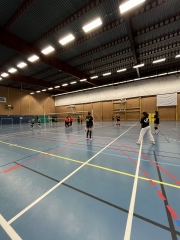 CI volley féminin 