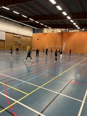 CI volley féminin 