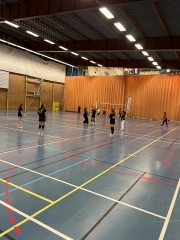 CI volley féminin 