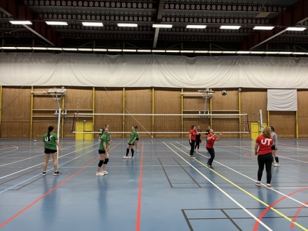 CI volley féminin 