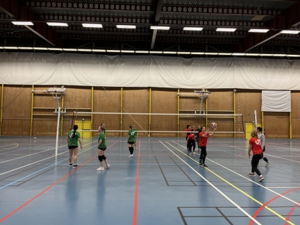 CI volley féminin 