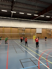 CI volley féminin 