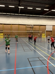 CI volley féminin 