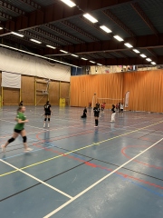 CI volley féminin 