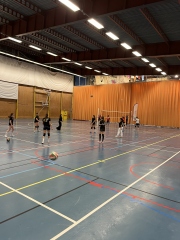 CI volley féminin 