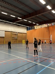 CI volley féminin 