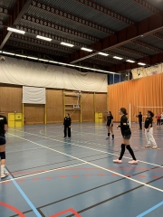 CI volley féminin 