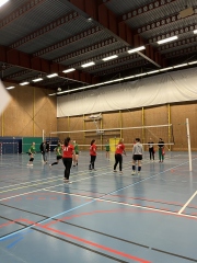 CI volley féminin 