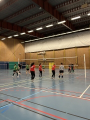 CI volley féminin 