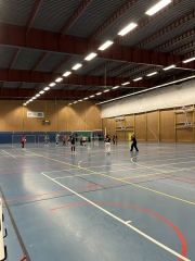CI volley féminin 