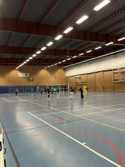 CI volley féminin 
