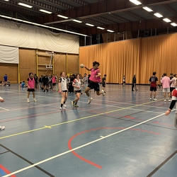 2026-01-21 - Nuit du hand à 4 Tours