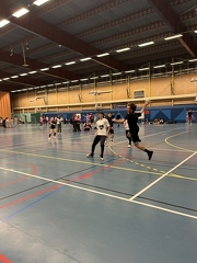 IMG 4619