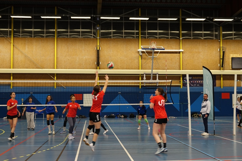 DSC01454.JPG