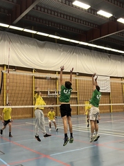 IMG 4948
