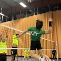 IMG 4943